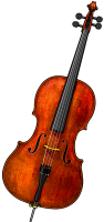 violon cello