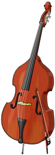 bowed string instruments : contra bass